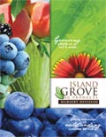 11x17 brochure