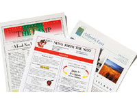 Newsletters