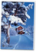 Design Holiday Cards Online