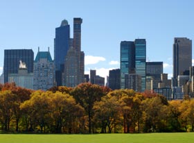 New York NY
