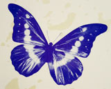 Spot Color Printing Sample