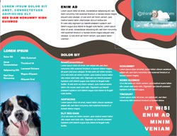 MS Word Brochure design