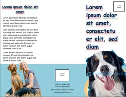 brochure in Word