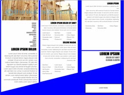 brochure template