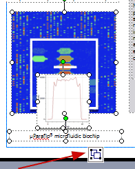 grouping objects in Publisher