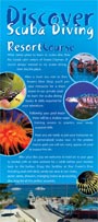 full color rack card