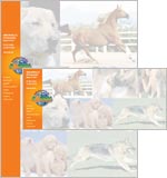 personalized stationery example