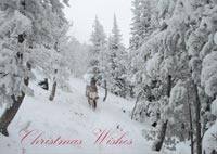 Christmas Wishes holiday card
