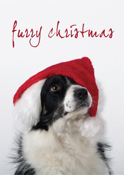 Furry Christmas card