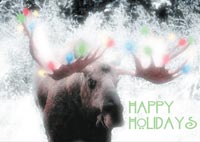 Moose holiday card