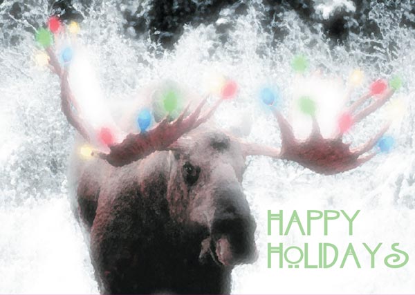 Moose card