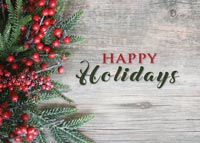 Red Berries holiday card