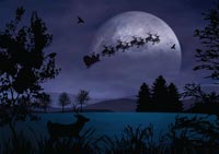 Sleigh Moon holiday card