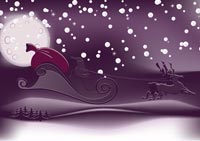 Sleigh holiday card