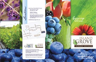 half fold brochure