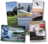 brochure marketing samples