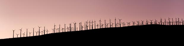 green windmills