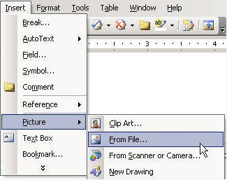 insert picture menu in Word