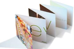 multi fold brochure