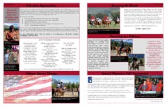 Newsletter Examples And Design Idea Samples Newsletter Examples And Design Idea Samples