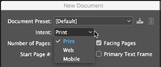 InDesign document settings