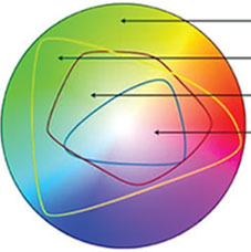 RGB CMYK PMS color gamut