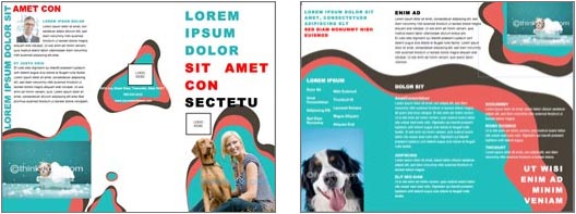 Free Brochure Templates For Microsoft Word
