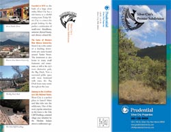 tri fold self mailer brochure