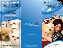 brochure samples