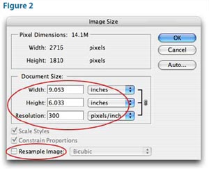 sizing an image