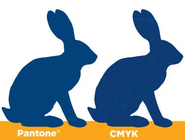 Pantone vs CMYK image