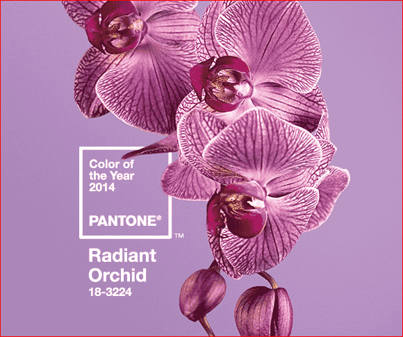 RadiantOrchid