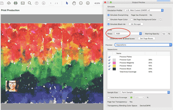 output preview rgb