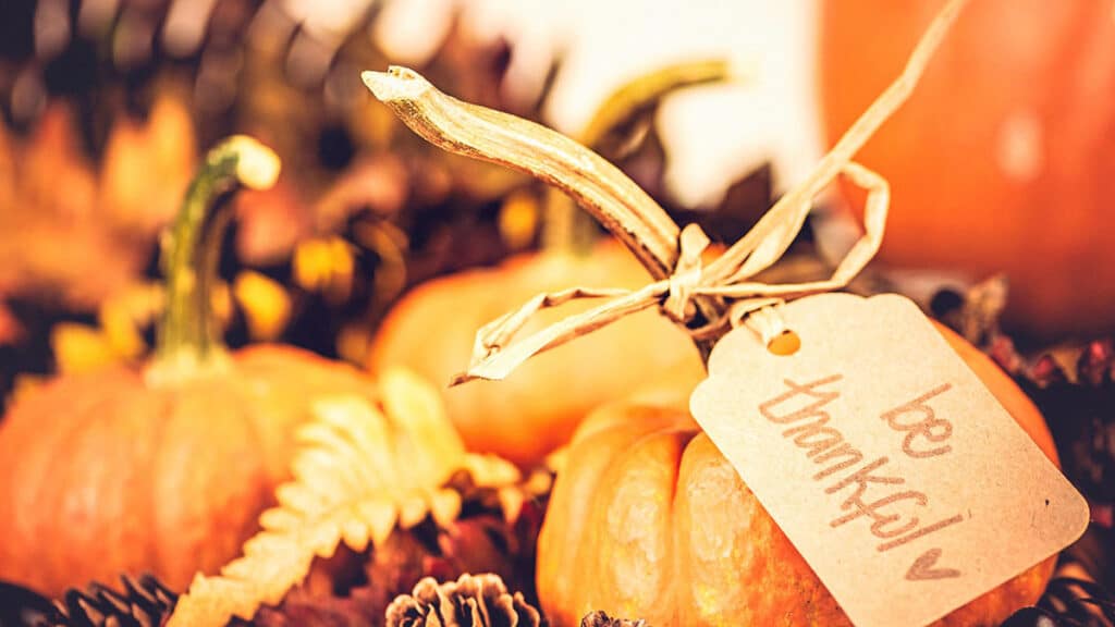 Thanksgiving Printable Ideas - Hang Tags